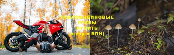 а пвп мука Алзамай