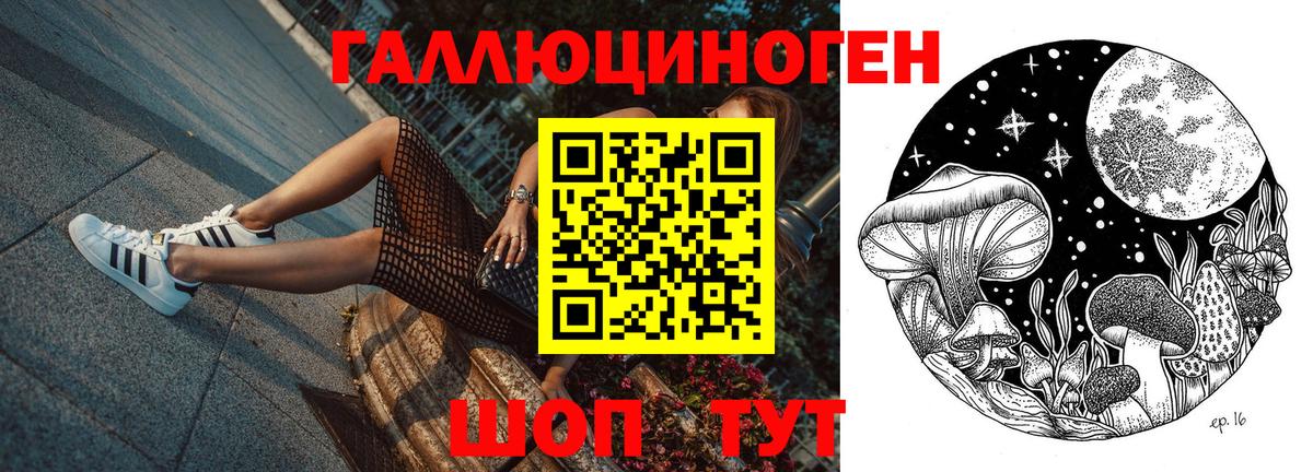 Галлюциногенные грибы прущие грибы Жуковский