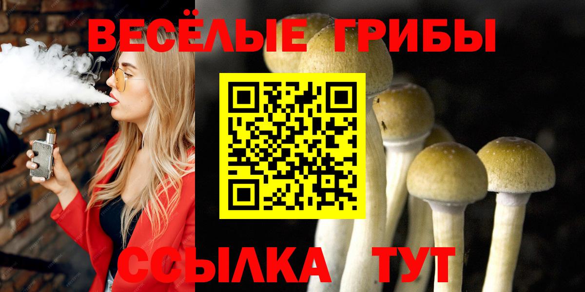 Жуковский  Галлюциногенные грибы прущие грибы  Вход с VPN 